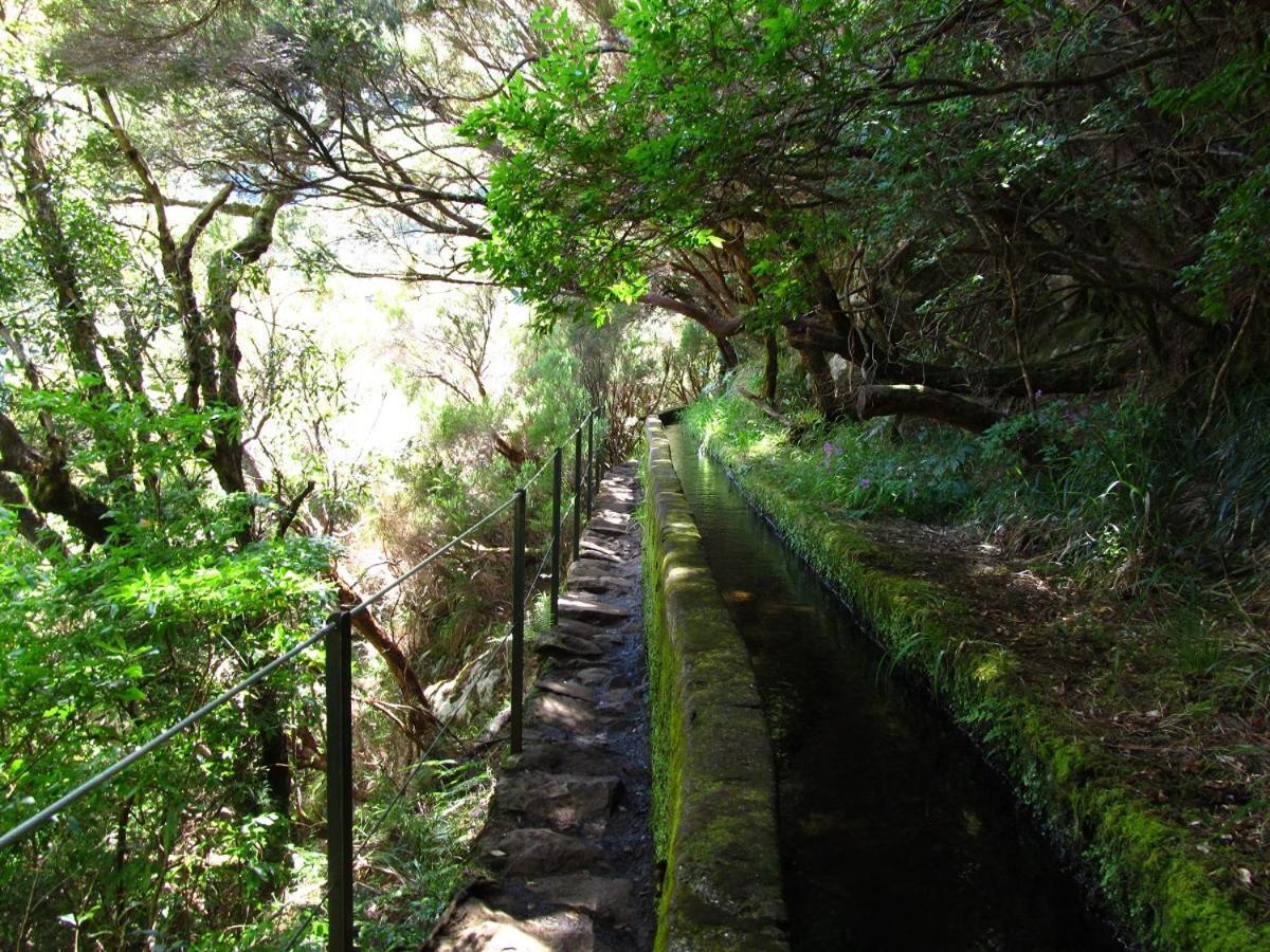 Beautiful View 2 - Arco Da Calheta - Ilha Da Madeira Lejlighed Eksteriør billede